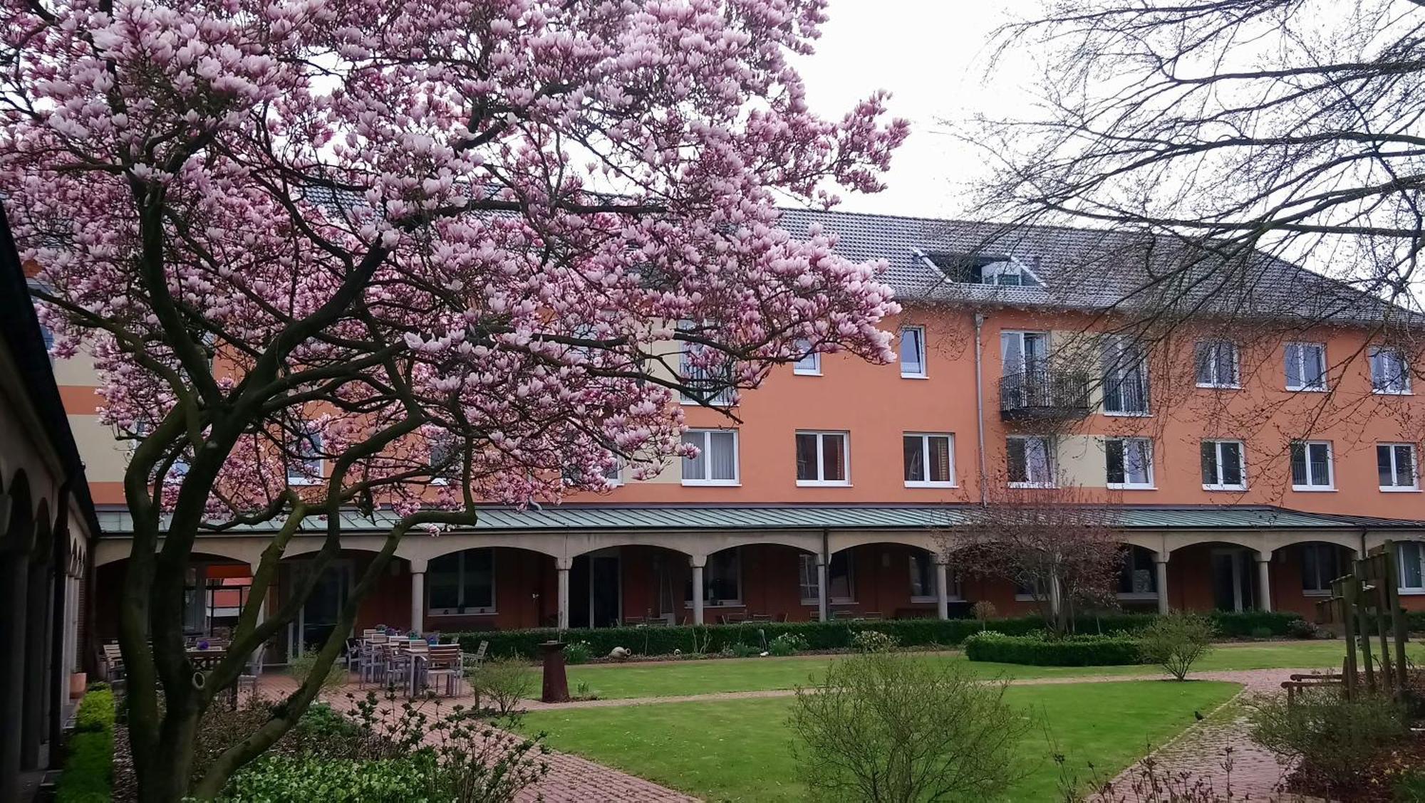 Hotel Klostergarten 케베라어 외부 사진